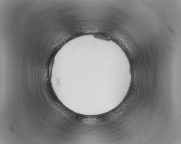 X0000115630362200912081048