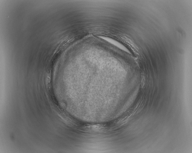 X0000115630365200912081048