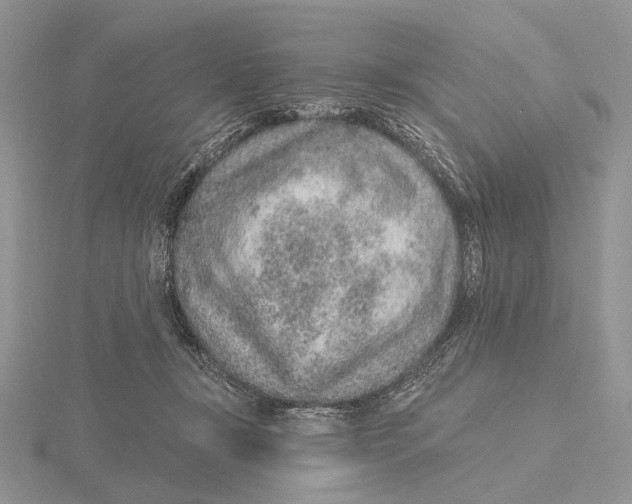 X0000115630367200912081048