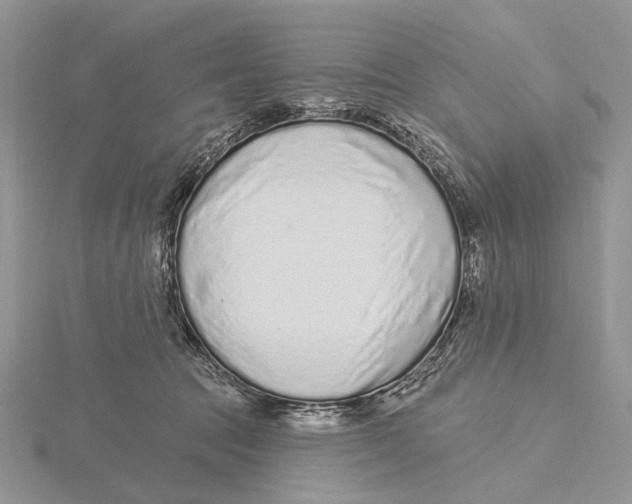 X0000115630369200912081048