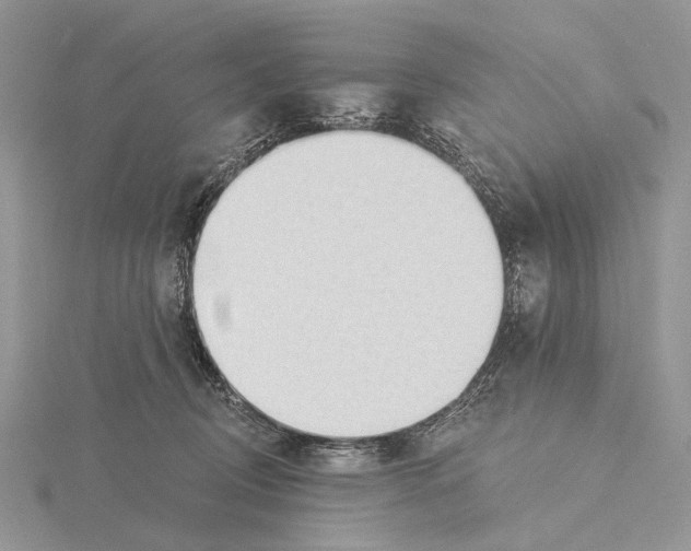X0000115630370200912081048