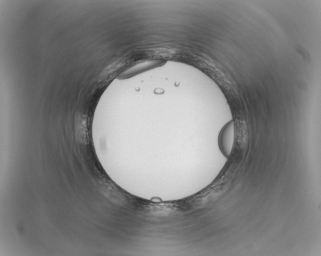 X0000115630378200912081048