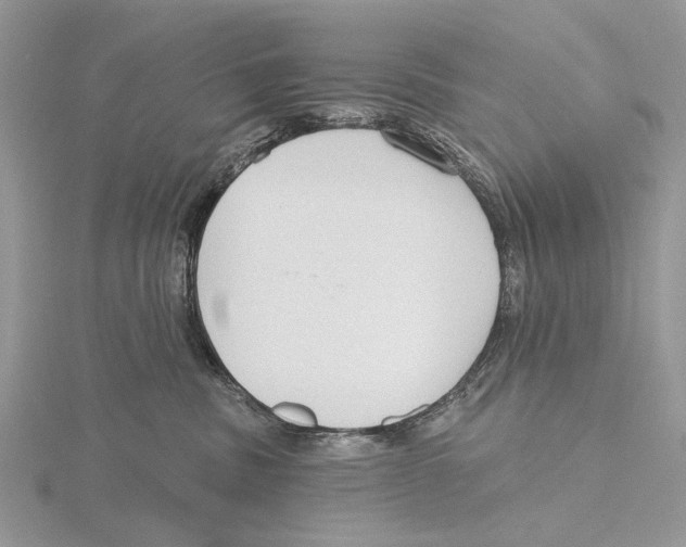 X0000115630379200912081048