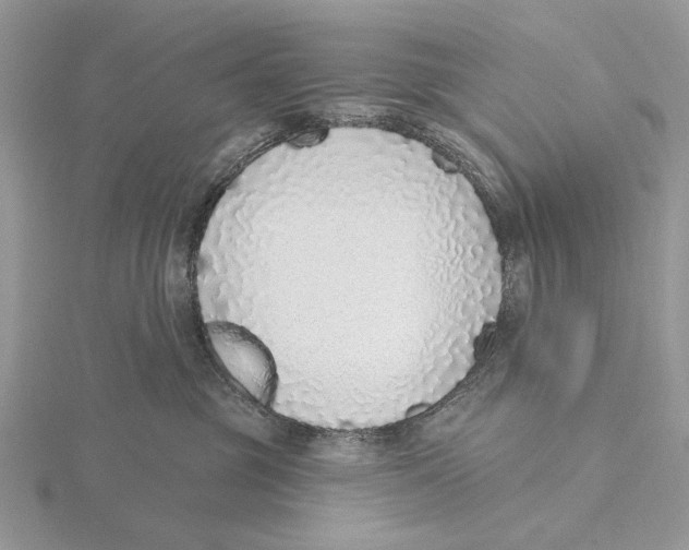 X0000115630381200912081048