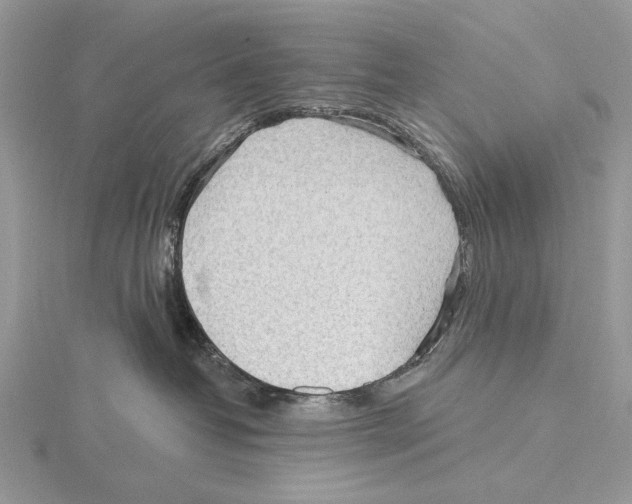 X0000115630382200912081048