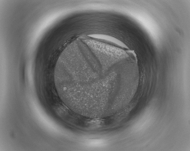 X0000115630383200912081048