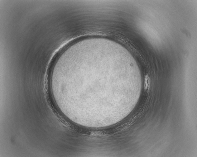 X0000115630388200912081047