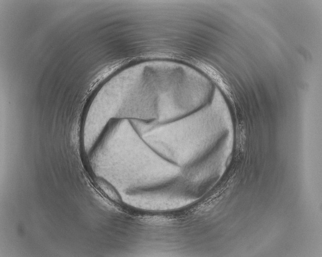 X0000115630389200912081047