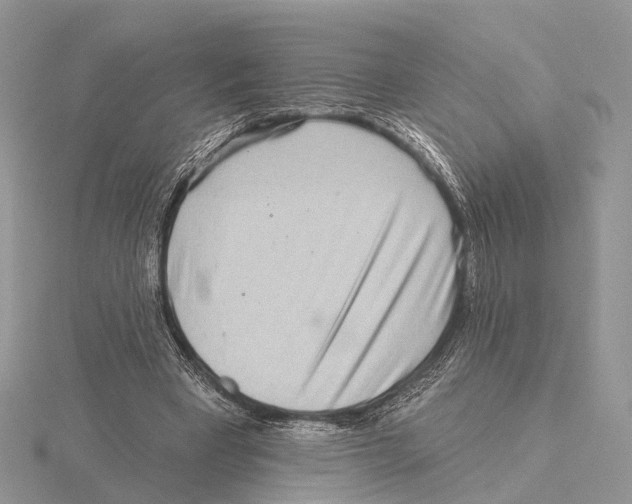 X0000115630393200912081047