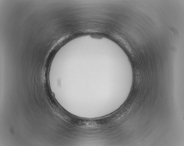 X0000115630395200912081047