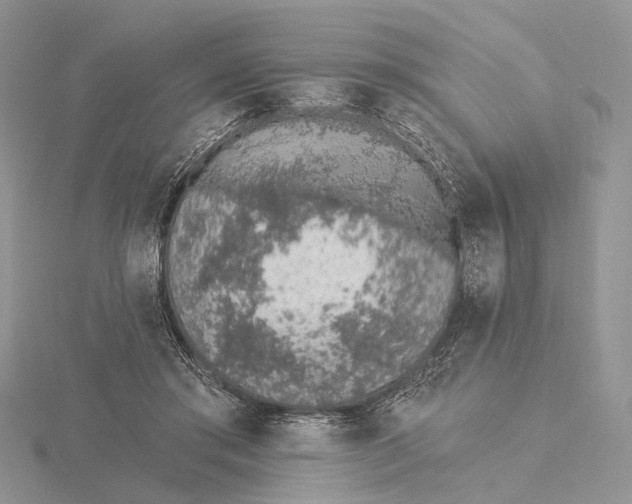 X0000115630405200912081047