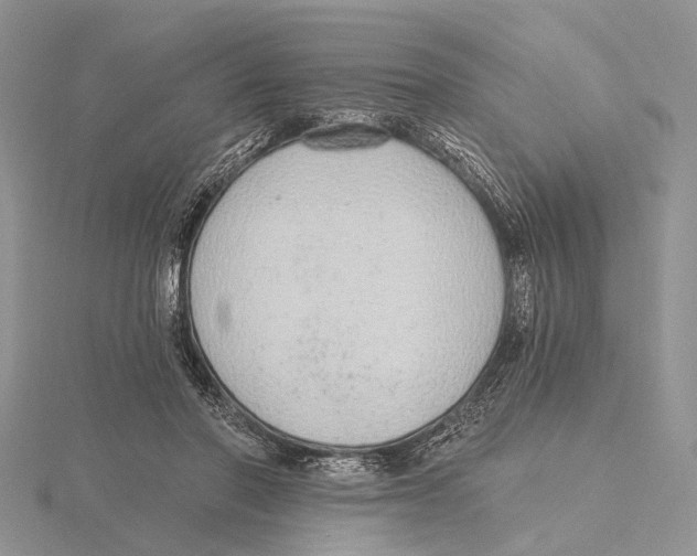 X0000115630406200912081047