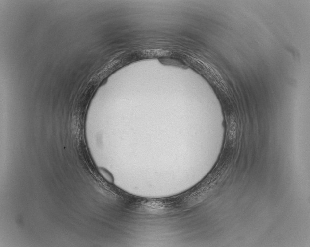 X0000115630409200912081047