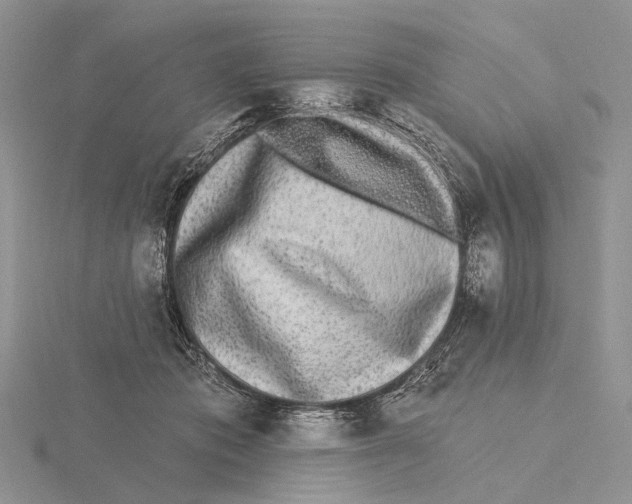 X0000115630413200912081047