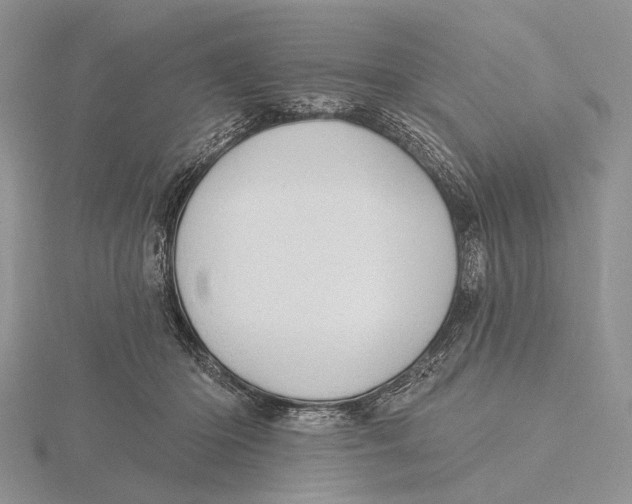 X0000115630414200912081047