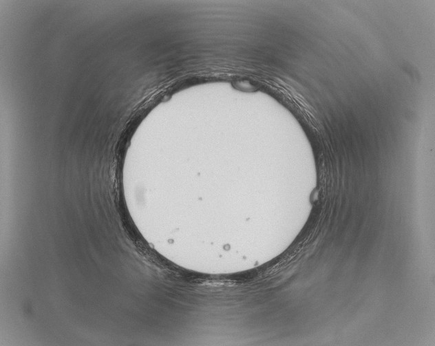 X0000115630415200912081047