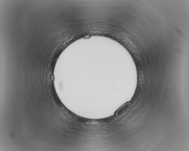 X0000115630419200912081047