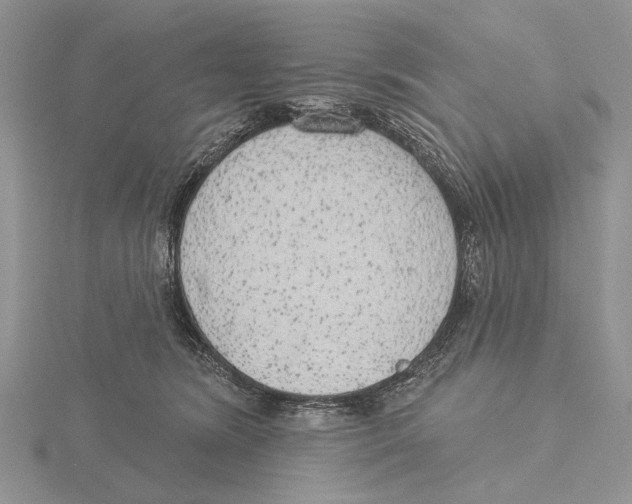 X0000115630420200912081047