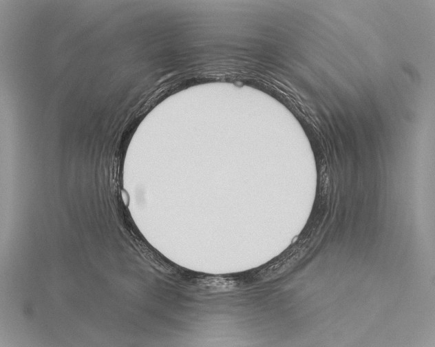 X0000115630421200912081047