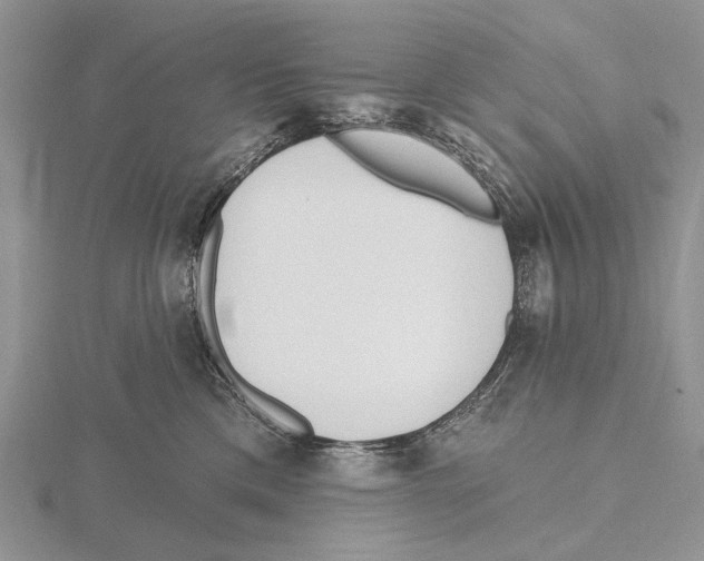 X0000115630425200912081047