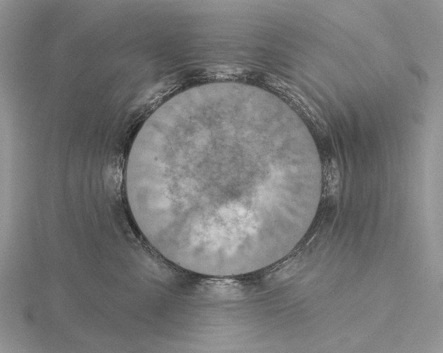 X0000115630427200912081047