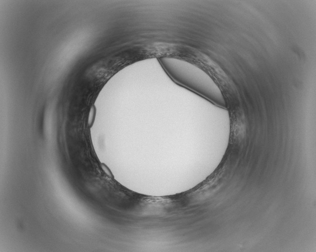 X0000115630429200912081047