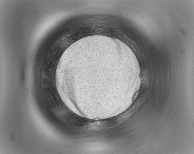 X0000115630430200912081047