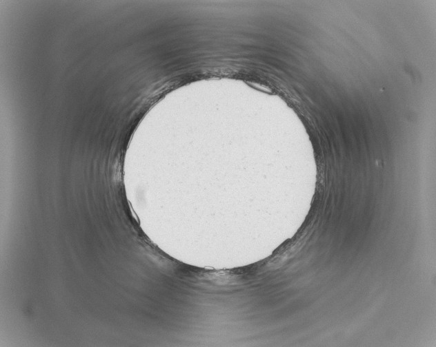 X0000115630431200912081047