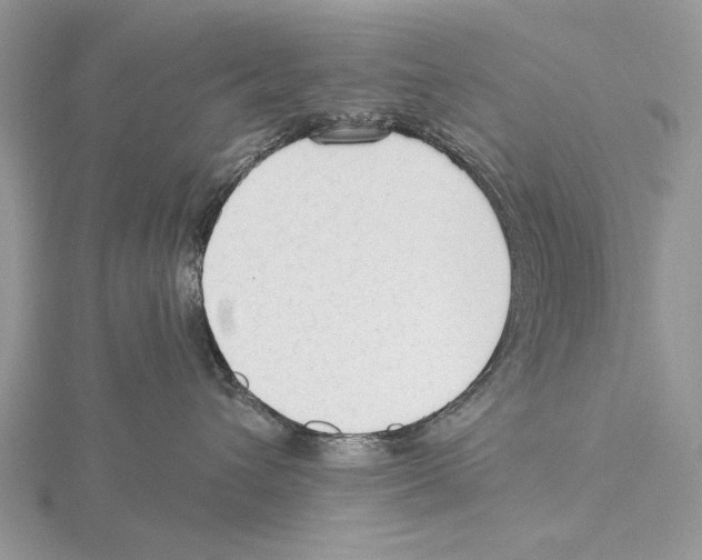 X0000115630432200912081047