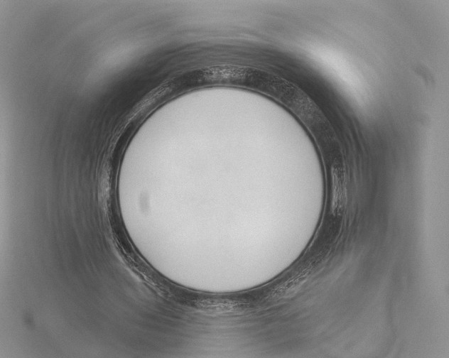 X0000115630435200912081046