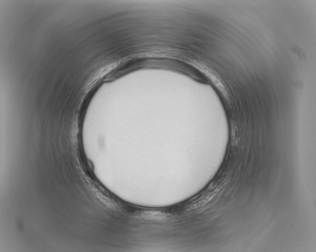 X0000115630437200912081046