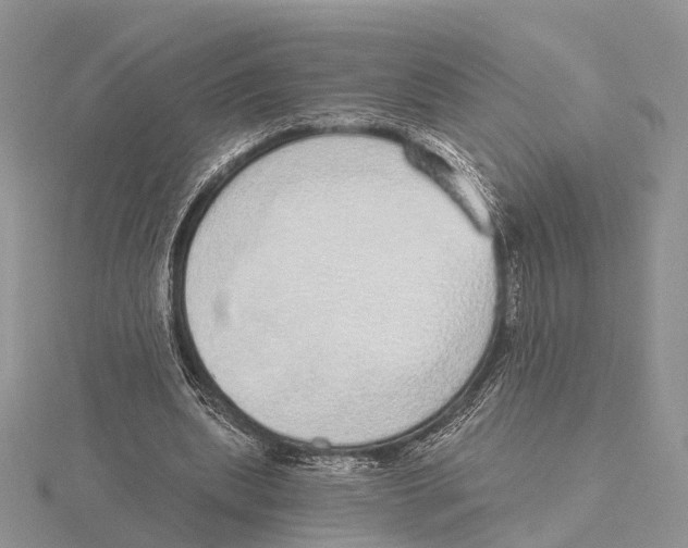 X0000115630439200912081046