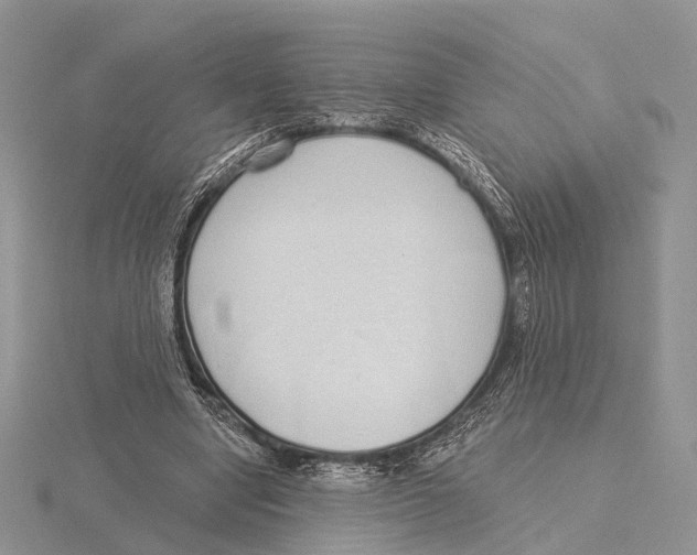 X0000115630442200912081046
