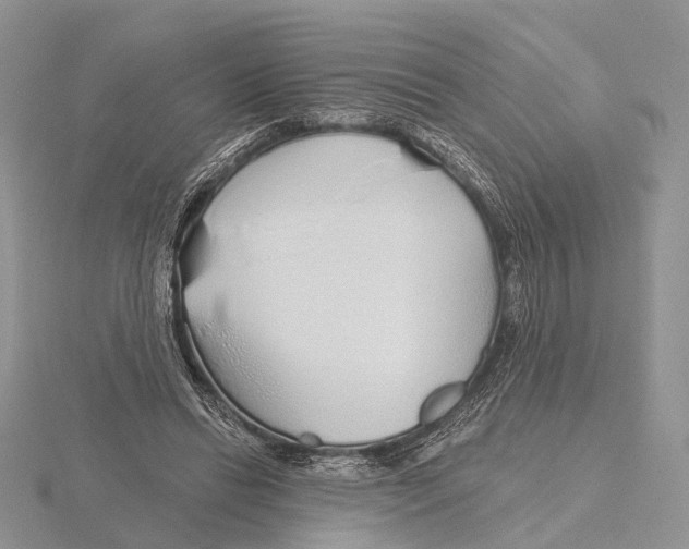 X0000115630446200912081046