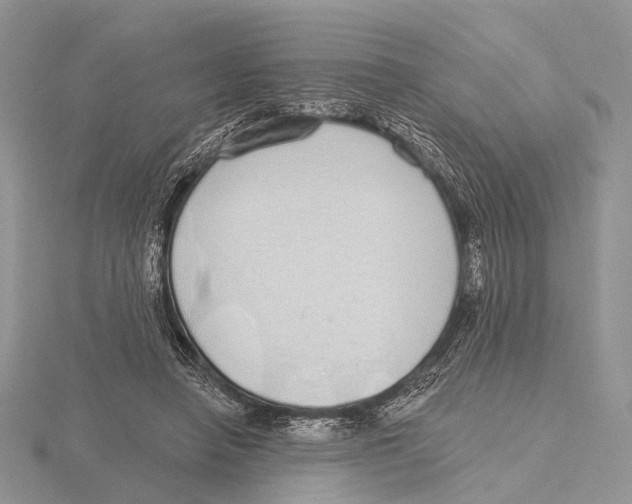 X0000115630450200912081047