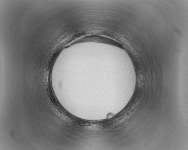 X0000115630454200912081047