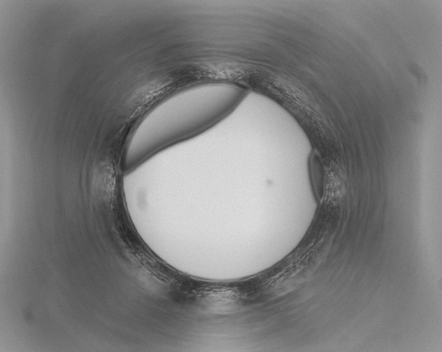 X0000115630456200912081047