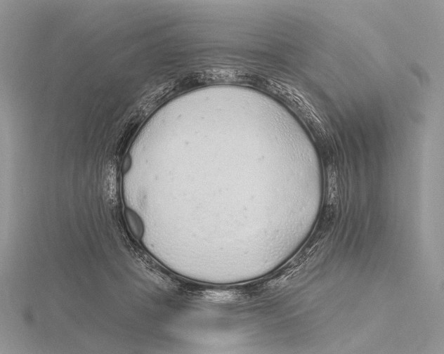 X0000115630457200912081047