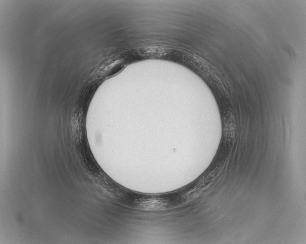 X0000115630460200912081047