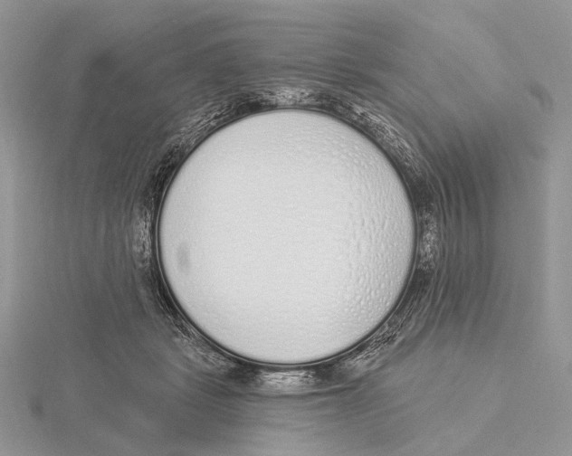X0000115630461200912081047
