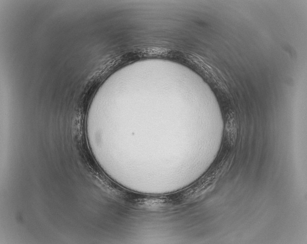 X0000115630462200912081047
