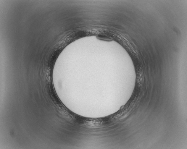 X0000115630466200912081047