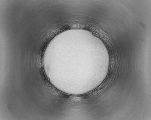 X0000115630469200912081047