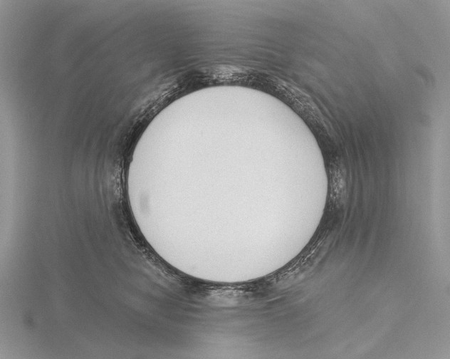 X0000115630470200912081047