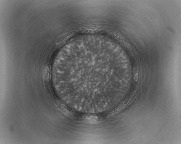 X0000115630471200912081047