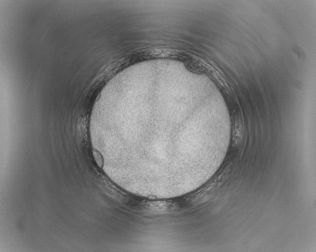 X0000115630473200912081047