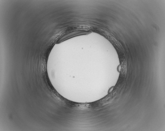 X0000115630474200912081047