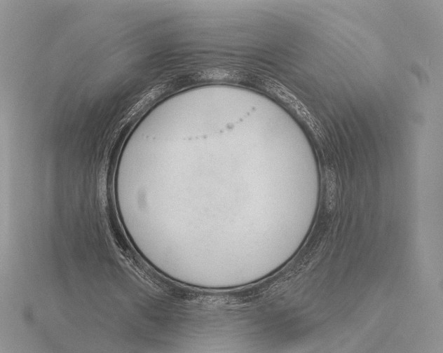 X0000115630482200912081046