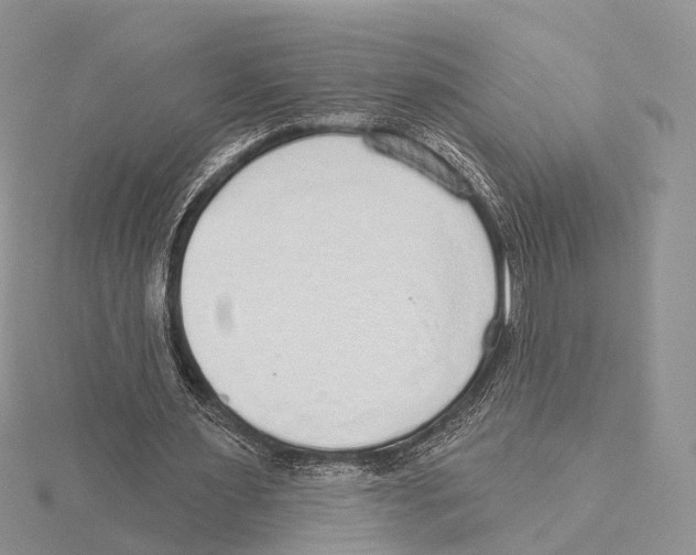 X0000115630483200912081046