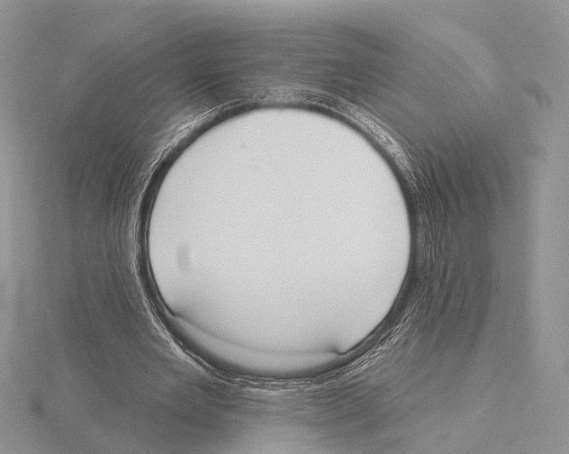X0000115630485200912081046